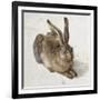 Hare-Albrecht Dürer-Framed Art Print