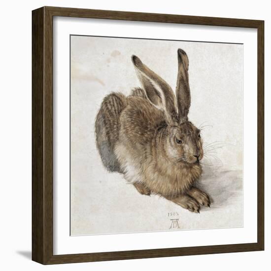 Hare-Albrecht Dürer-Framed Art Print