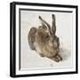 Hare-Albrecht Dürer-Framed Art Print