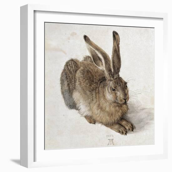 Hare-Albrecht Dürer-Framed Art Print