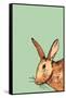 Hare-Sarah Thompson-Engels-Framed Stretched Canvas