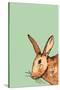 Hare-Sarah Thompson-Engels-Stretched Canvas