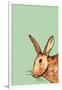 Hare-Sarah Thompson-Engels-Framed Giclee Print