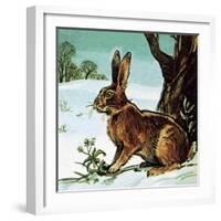 Hare-English School-Framed Giclee Print