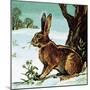 Hare-English School-Mounted Giclee Print