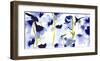 Harebelle-Bluebellgray-Framed Art Print