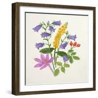 Harebells and Other Wild Flowers-Ursula Hodgson-Framed Giclee Print