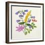 Harebells and Other Wild Flowers-Ursula Hodgson-Framed Giclee Print