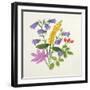 Harebells and Other Wild Flowers-Ursula Hodgson-Framed Giclee Print