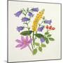 Harebells and Other Wild Flowers-Ursula Hodgson-Mounted Giclee Print