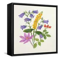 Harebells and Other Wild Flowers-Ursula Hodgson-Framed Stretched Canvas