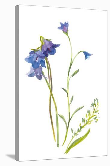 Harebells II-Sandra Jacobs-Stretched Canvas