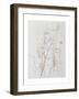 Harebells in Grass, 2003-Rebecca John-Framed Giclee Print