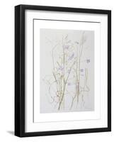 Harebells in Grass, 2003-Rebecca John-Framed Giclee Print