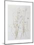 Harebells in Grass, 2003-Rebecca John-Mounted Giclee Print