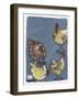 Harem 19-Maria Pietri Lalor-Framed Giclee Print