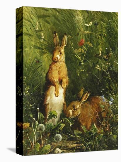 Hares, 1878-Olaf August Hermansen-Stretched Canvas