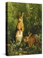 Hares, 1878-Olaf August Hermansen-Stretched Canvas