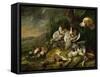 Hares and fowl (the bag) watched by a dog-Jan Fyt-Framed Stretched Canvas