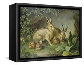 Hares and Leverets in a Rocky Lair-Johann Wenzel Peter-Framed Stretched Canvas