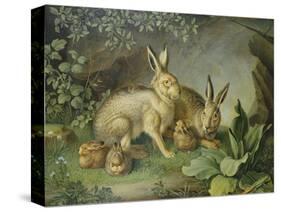 Hares and Leverets in a Rocky Lair-Johann Wenzel Peter-Stretched Canvas