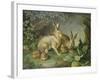 Hares and Leverets in a Rocky Lair-Johann Wenzel Peter-Framed Giclee Print