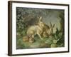 Hares and Leverets in a Rocky Lair-Johann Wenzel Peter-Framed Giclee Print