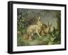 Hares and Leverets in a Rocky Lair-Johann Wenzel Peter-Framed Giclee Print