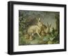 Hares and Leverets in a Rocky Lair-Johann Wenzel Peter-Framed Giclee Print