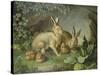Hares and Leverets in a Rocky Lair-Johann Wenzel Peter-Stretched Canvas