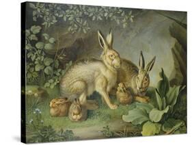 Hares and Leverets in a Rocky Lair-Johann Wenzel Peter-Stretched Canvas