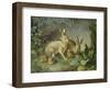 Hares and Leverets in a Rocky Lair-Johann Wenzel Peter-Framed Premium Giclee Print
