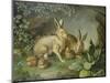 Hares and Leverets in a Rocky Lair-Johann Wenzel Peter-Mounted Premium Giclee Print