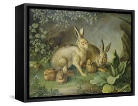 Hares and Leverets in a Rocky Lair-Johann Wenzel Peter-Framed Stretched Canvas