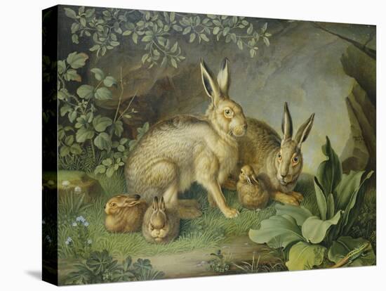 Hares and Leverets in a Rocky Lair-Johann Wenzel Peter-Stretched Canvas