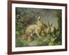 Hares and Leverets in a Rocky Lair-Johann Wenzel Peter-Framed Giclee Print