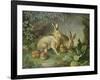 Hares and Leverets in a Rocky Lair-Johann Wenzel Peter-Framed Giclee Print