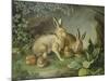 Hares and Leverets in a Rocky Lair-Johann Wenzel Peter-Mounted Giclee Print