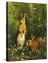 Hares-Olaf August Hermansen-Stretched Canvas