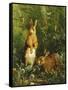 Hares-Olaf August Hermansen-Framed Stretched Canvas