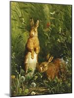 Hares-Olaf August Hermansen-Mounted Giclee Print
