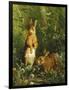 Hares-Olaf August Hermansen-Framed Giclee Print