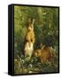 Hares-Olaf August Hermansen-Framed Stretched Canvas