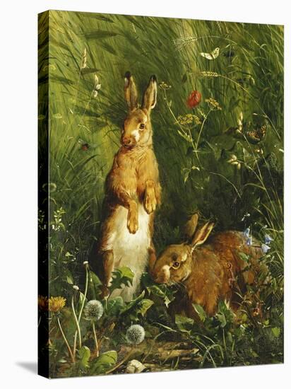 Hares-Olaf August Hermansen-Stretched Canvas