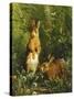 Hares-Olaf August Hermansen-Stretched Canvas