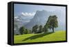 Harewood, North Face of the Eiger, Mountain Matten, Switzerland-Rainer Mirau-Framed Stretched Canvas