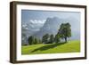 Harewood, North Face of the Eiger, Mountain Matten, Switzerland-Rainer Mirau-Framed Photographic Print