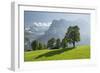 Harewood, North Face of the Eiger, Mountain Matten, Switzerland-Rainer Mirau-Framed Photographic Print