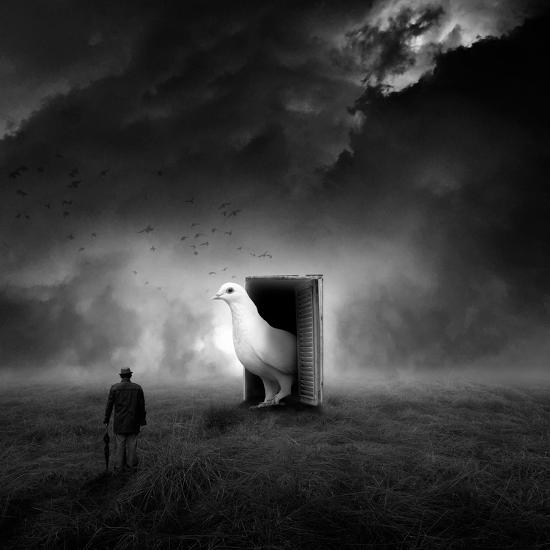 Photographic Print, , large