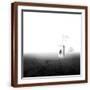 Brown Frame
